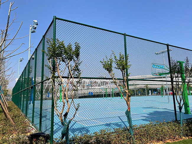 浙江建设职业技术学院篮球场